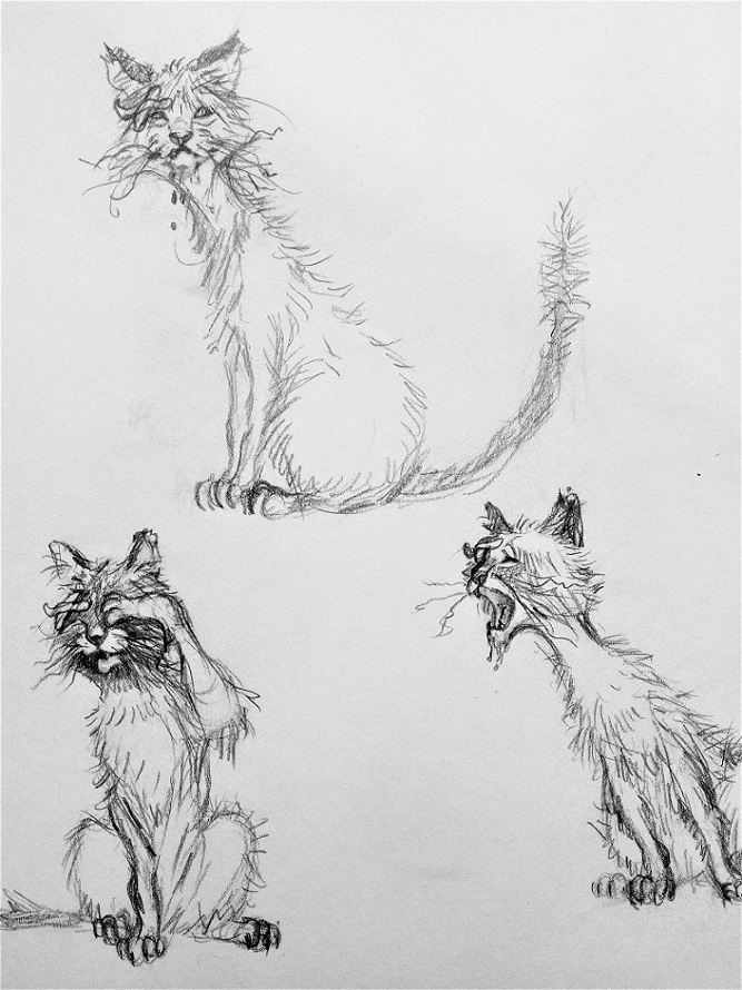 Skizzen von der Katze, gezeichnet von Doris Eisenburger