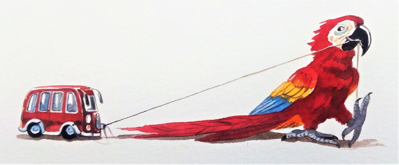 Papagei Pepe mit dem kleinen roten Bus, gemalt von Doris Eisenburger